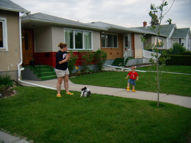 can030607_32_frontyard