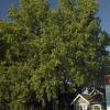 can040607_09_brodersannex