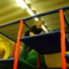 can050607_32_its_a_blast