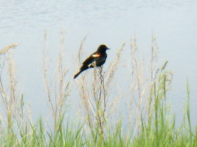 can090607_09_wascanapark