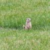 can120607_11_bicycletour_gopher
