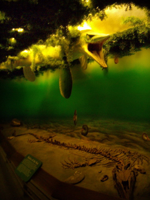 can140607_11_royalsaskmuseum