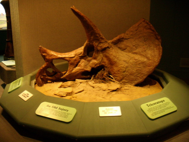 can140607_14_royalsaskmuseum