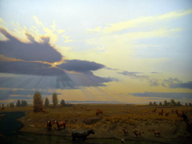 can140607_16_royalsaskmuseum
