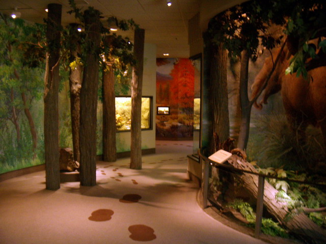 can140607_17_royalsaskmuseum