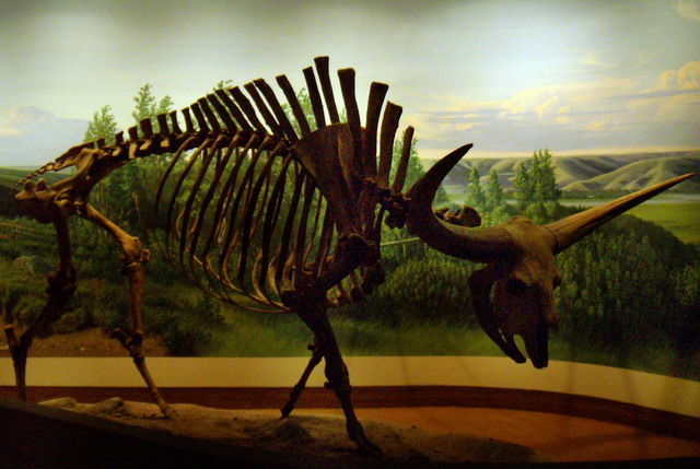 can140607_20_royalsaskmuseum