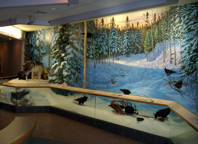 can140607_43_royalsaskmuseum