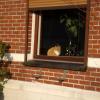 080215_37_mupke
