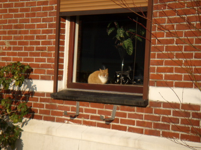 080215_37_mupke
