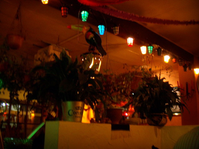 080217_33_volkermartinamexican
