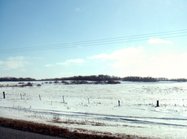 080302_winterprairie_09