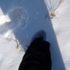 080302_winterprairie_22
