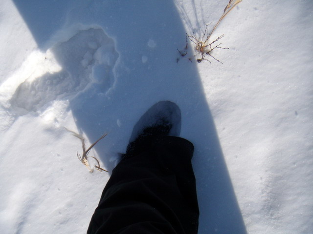 080302_winterprairie_22