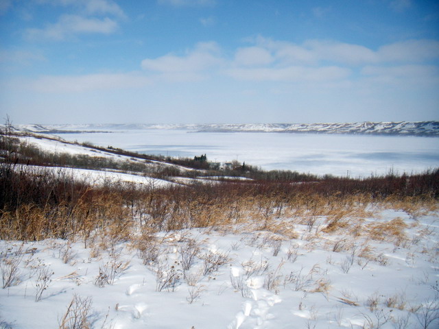 080302_winterprairie_23