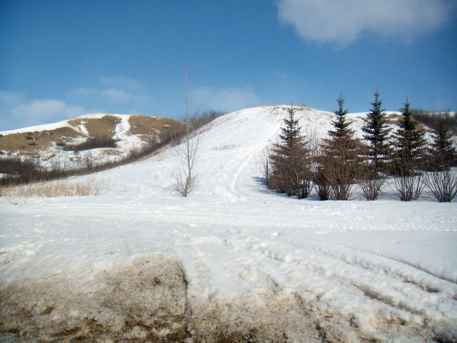 080302_winterprairie_31
