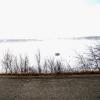 080302_winterprairie_42