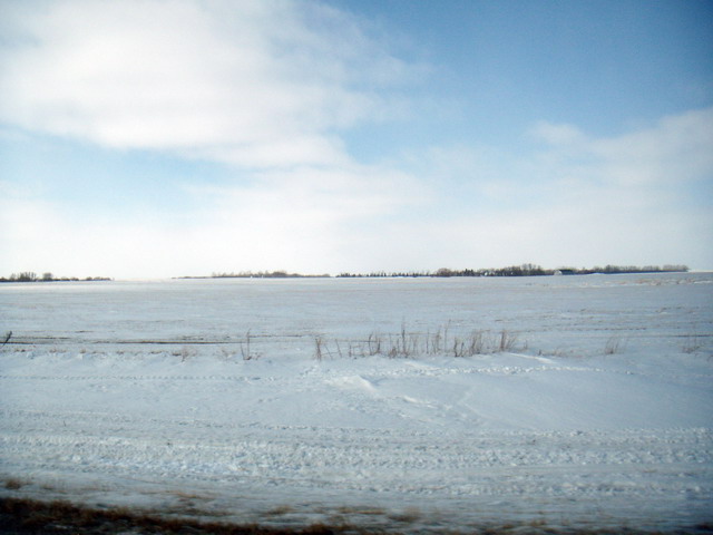 080302_winterprairie_48