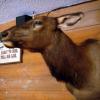 080305_10_greenwaterlake