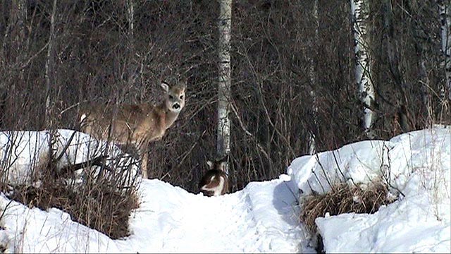 080305_17d_greenwaterlake