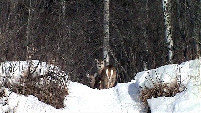 080305_17e_greenwaterlake