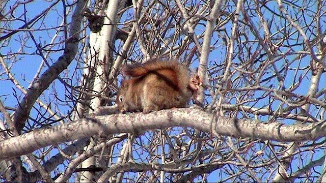 080305_24b_greenwaterlake