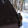 080305_24c_greenwaterlake