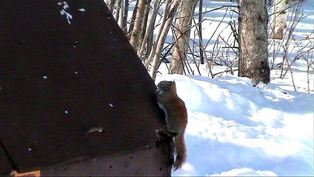080305_24c_greenwaterlake
