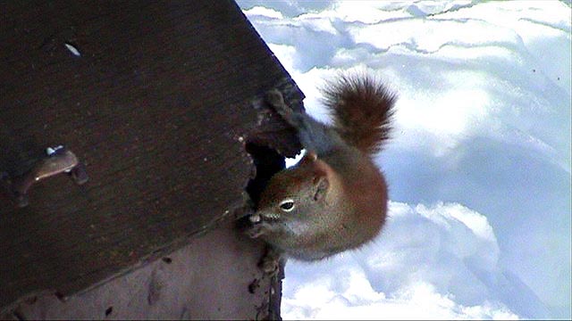 080305_24e_greenwaterlake