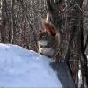 080305_24g_greenwaterlake
