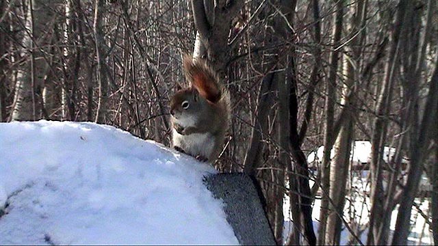 080305_24g_greenwaterlake