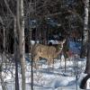 080305_30_greenwaterlake