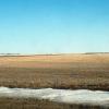 080323_03_eastersunday