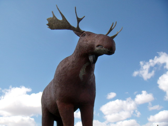 080412_moosejaw_13