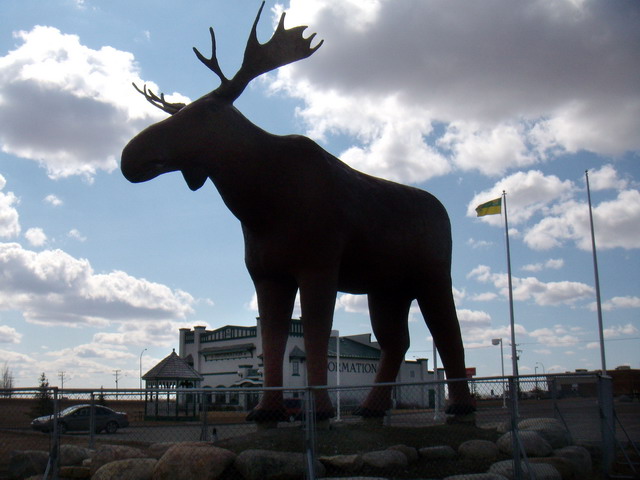 080412_moosejaw_14