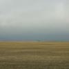 080426_002_trip_to_arcola_prairie