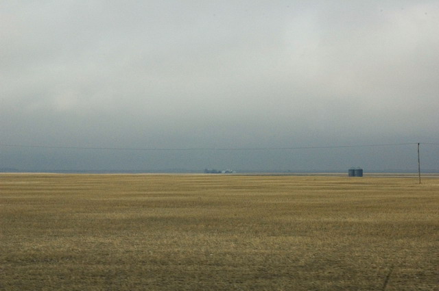 080426_002_trip_to_arcola_prairie