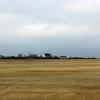 080426_009_trip_to_arcola_prairie