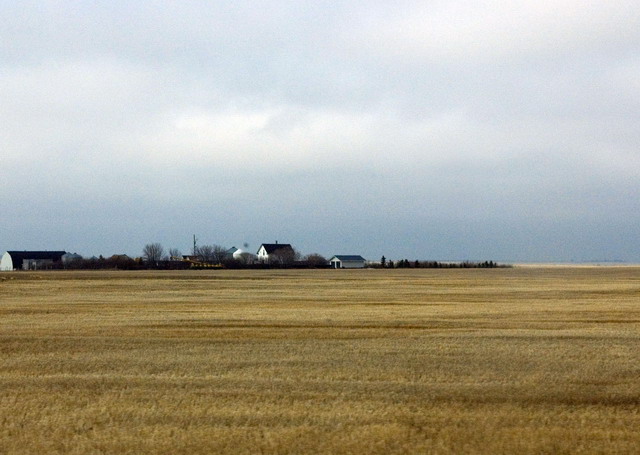 080426_009_trip_to_arcola_prairie