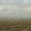 080426_011_trip_to_arcola_prairie