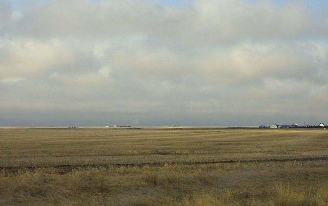 080426_011_trip_to_arcola_prairie