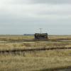 080426_017_trip_to_arcola_prairie