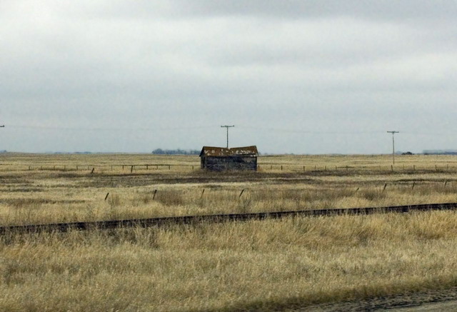 080426_017_trip_to_arcola_prairie