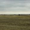 080426_019_trip_to_arcola_prairie