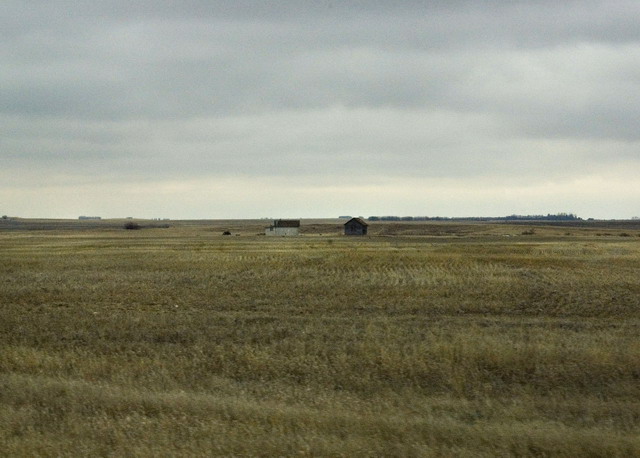 080426_019_trip_to_arcola_prairie