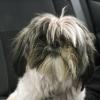 080426_020_trip_to_arcola_gizmo
