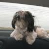 080426_032_trip_to_arcola_gizmo