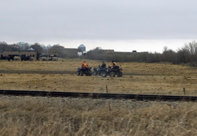 080426_052_trip_to_arcola
