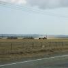 080426_068_trip_to_arcola_prairie