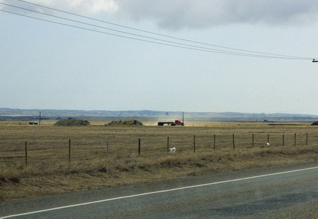 080426_068_trip_to_arcola_prairie