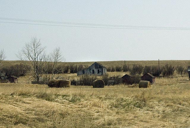 080426_076_trip_to_arcola_prairie